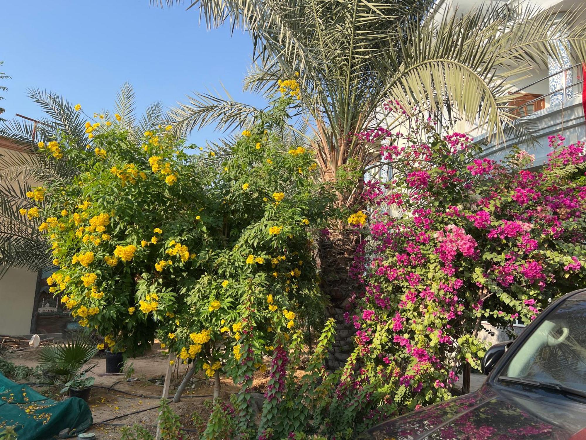 Alhosani Property Abu Dhabi Exterior photo